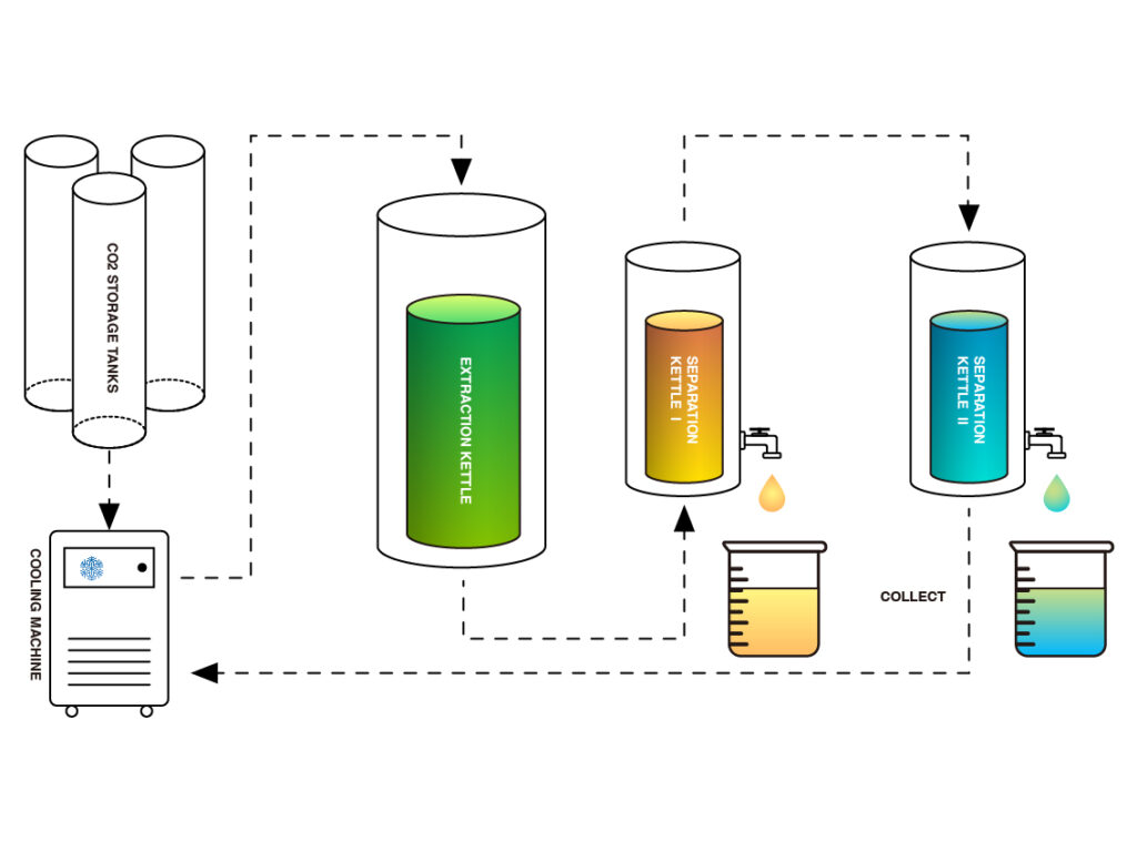 Schematic diagram of CO2 extraction