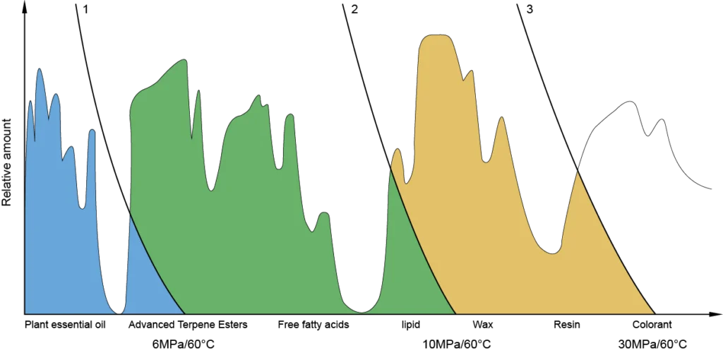 Multi-stage separation process in supercritical CO2 extraction system showing pressure-dependent fractionation of compounds.