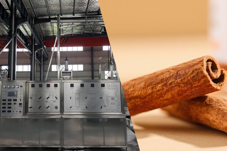 Cinnamon sticks beside supercritical CO2 extraction equipment