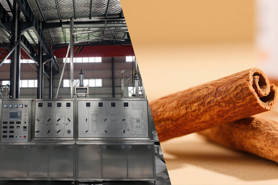 Cinnamon sticks beside supercritical CO2 extraction equipment