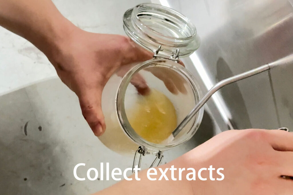 Collecting agarwood oleoresin from CO2 extractor