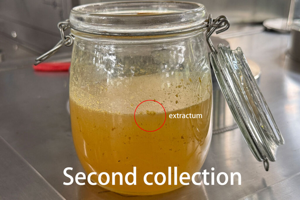 Yellowish water-like liquid containing trace oleoresin collected after extracting low-resin white wood agarwood