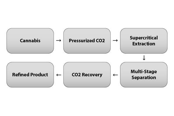 Step-by-step CO2 extraction process with supercritical equipment, showing high-pressure CO2 extraction and multi-stage separation.