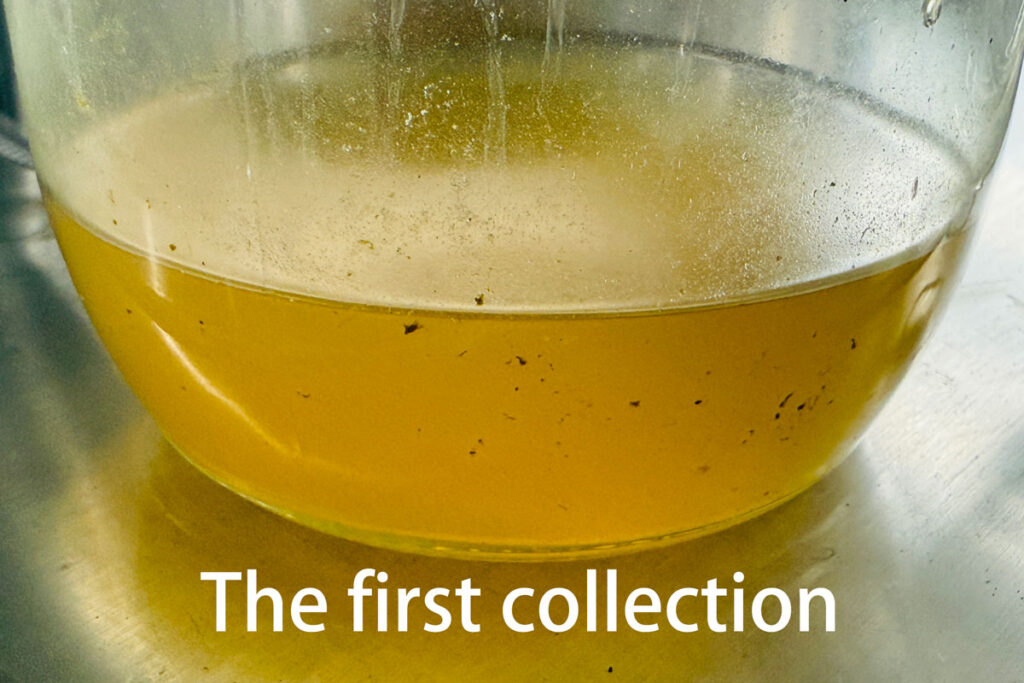 Extracted agarwood oleoresin sample