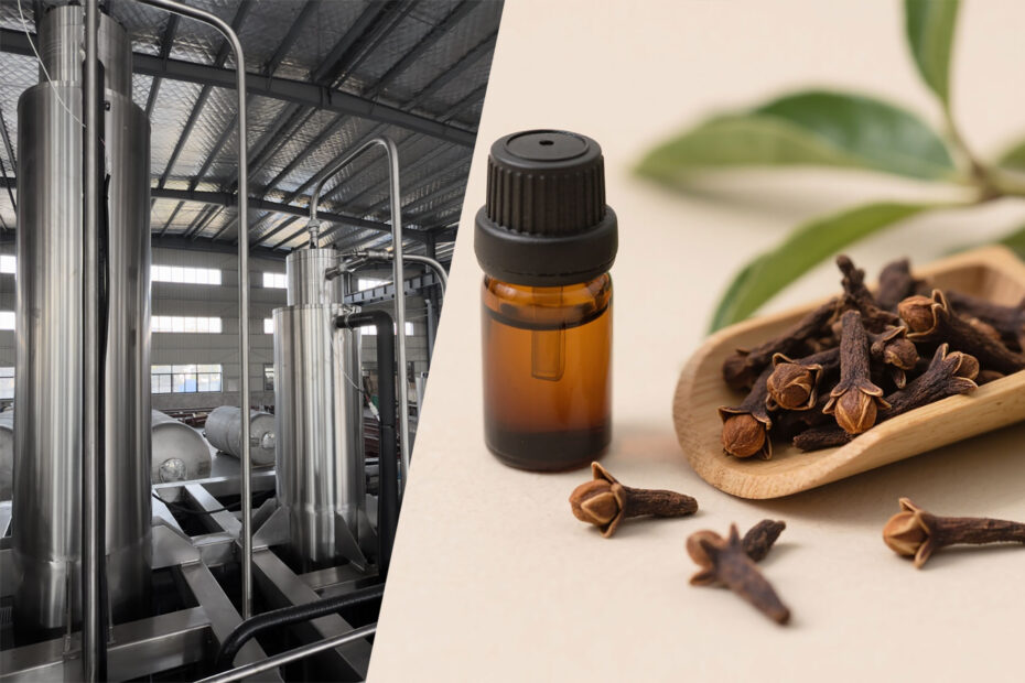 Dried clove buds, clove essential oil, and supercritical CO2 extraction separator