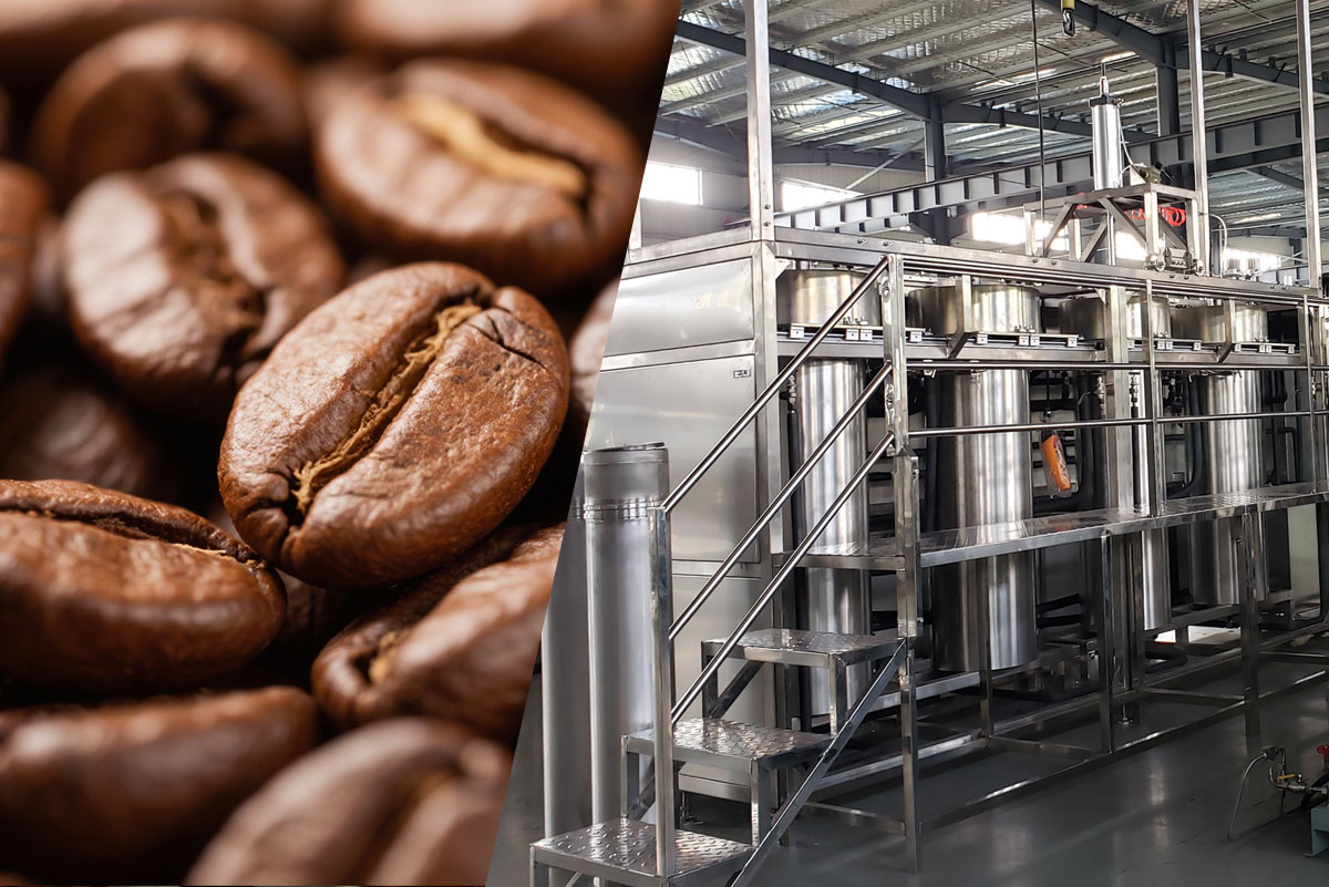 Supercritical CO2 Extraction of Coffee Bean Oil: Process, Pressure, and Yield Analysis