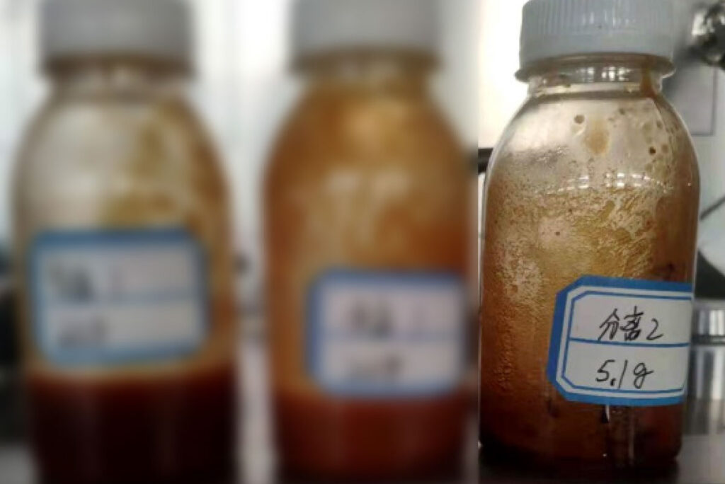 Final Coffee Extract Collected from Separator Using Supercritical CO2