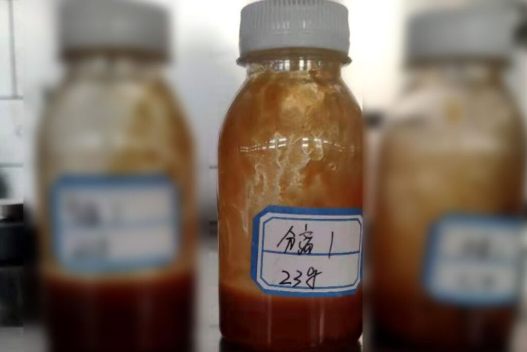 First-Stage Coffee Extraction Using Supercritical CO2