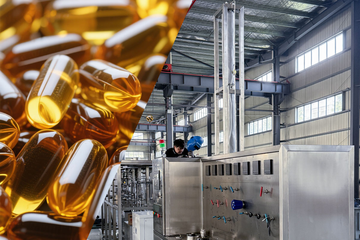 Supercritical CO2 Extraction of Fish Oil for Continuous Distillation