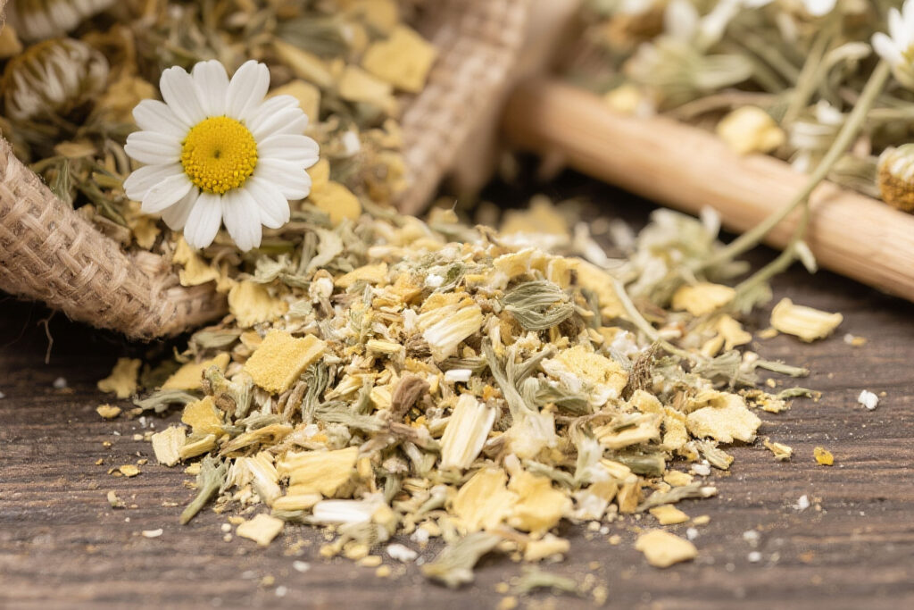 Dried chamomile prepared for supercritical CO2 extraction