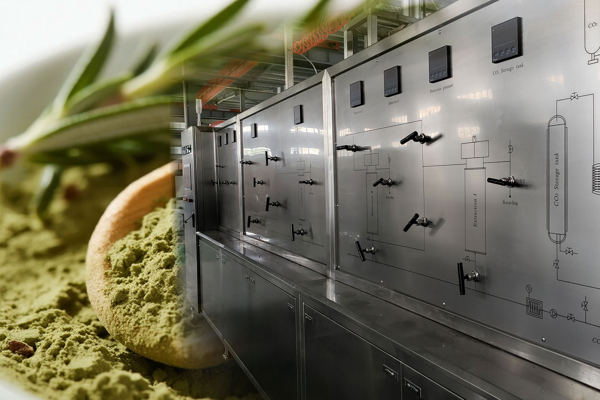 Supercritical CO2 Extraction of Natural Rosemary Antioxidants: Process Optimization and Product Characterization