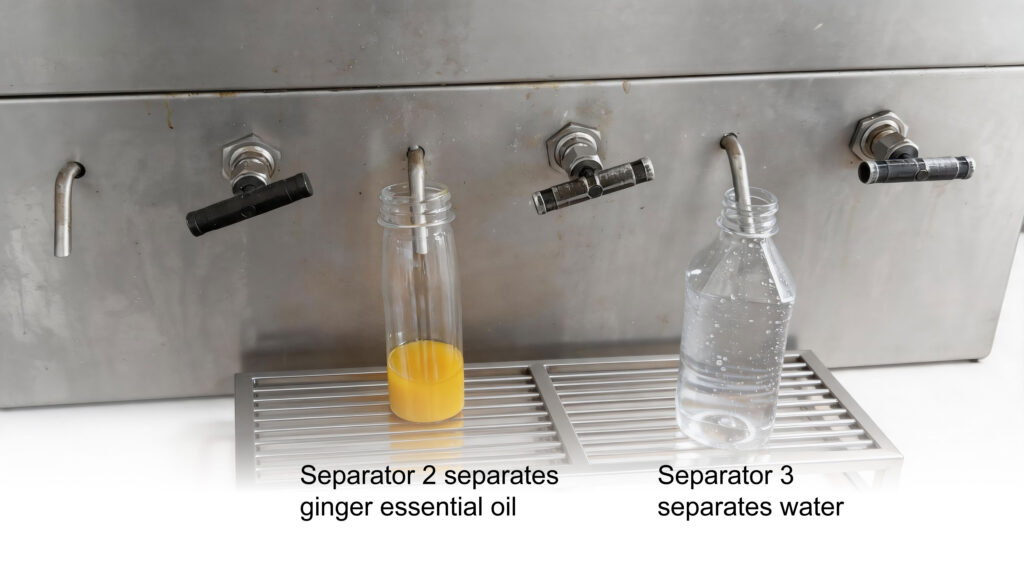 Ginger essential oil and water separated in CO2 extraction process